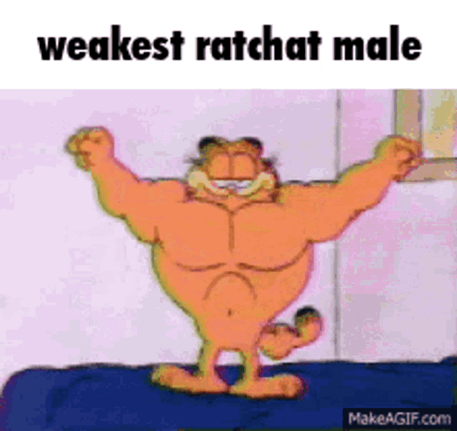 garfield is standing on a bed with his arms outstretched and the caption weakest ratchat male