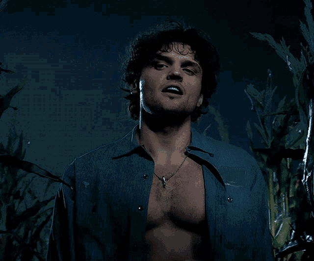 a man in a blue shirt is standing in a corn field