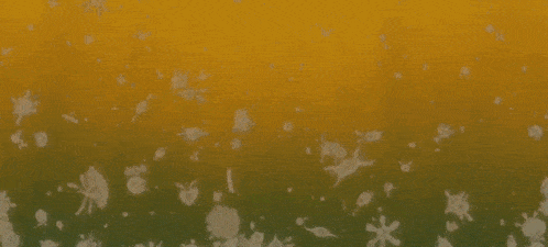 a bunch of jellyfish are floating in the water with a yellow background