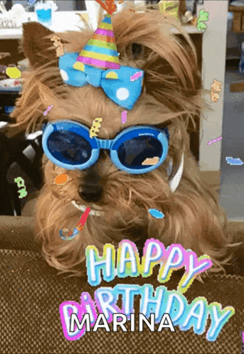 a dog wearing sunglasses and a party hat with the words happy birthday marina on it