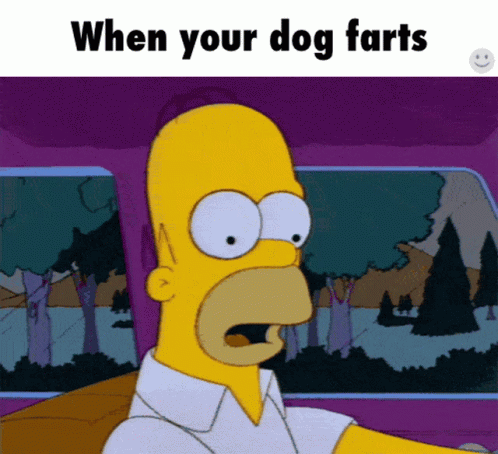 Dog Fart GIF