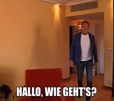 Hasselhoff: Wie Geht'S? GIF - Wie Gehts Hasselhoff Handschlag GIFs