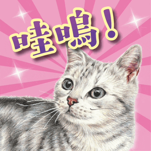 a drawing of a cat on a pink background with chinese characters