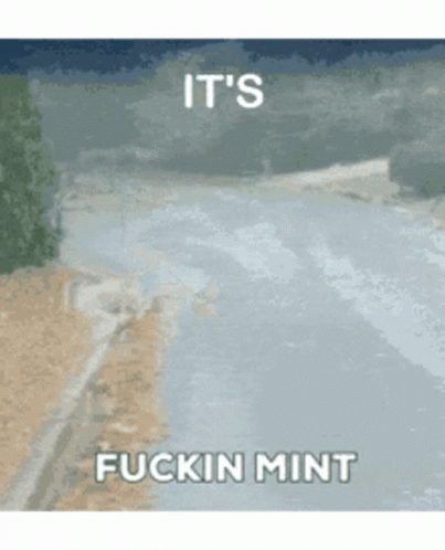 Mint Its Fucking Mint GIF - Mint Its Fucking Mint Road GIFs