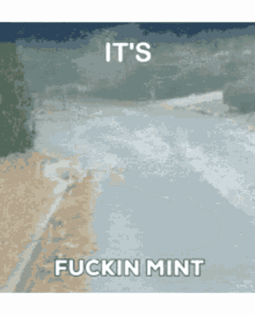 a meme that says it 's fuckin mint on it