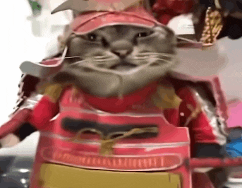 a cat is wearing a samurai costume and a hat .