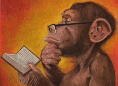 a chimpanzee with glasses is reading a book .
