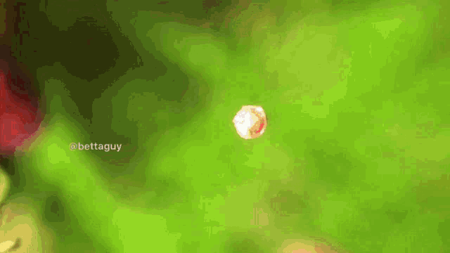 a green background with the hashtag bettaguy on the bottom