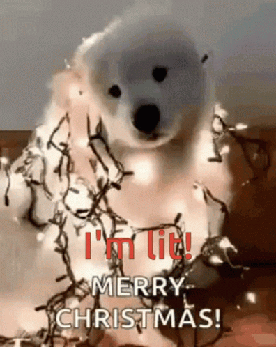 Christmas Dog Dog GIF - Christmas Dog Dog Merry Christmas GIFs