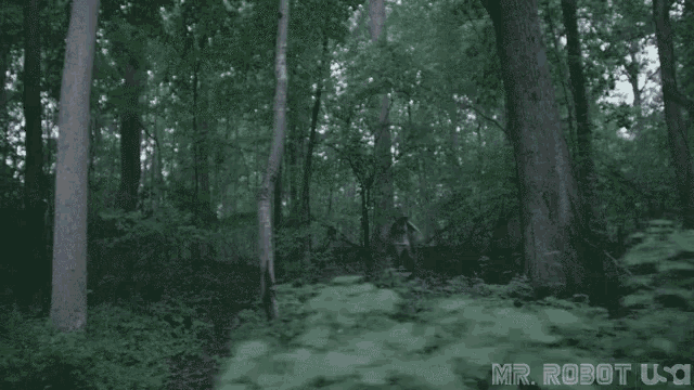 Run Running GIF - Run Running Forest GIFs