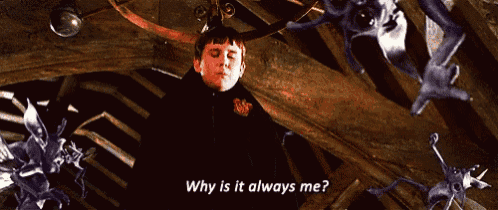 a boy in a harry potter costume is asking why is it always me