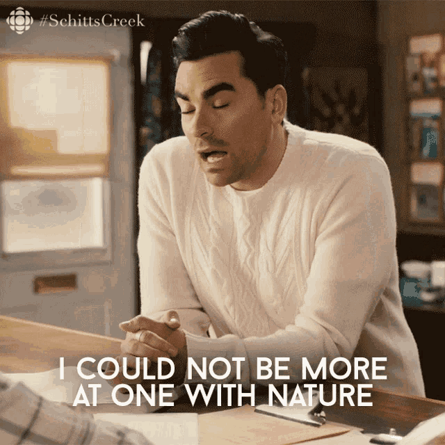 I Could Not Be More At One With Nature I Do Coachella Every Year GIF - I Could Not Be More At One With Nature I Do Coachella Every Year David Rose GIFs