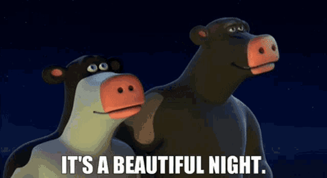two cartoon cows standing next to each other with the words it 's a beautiful night