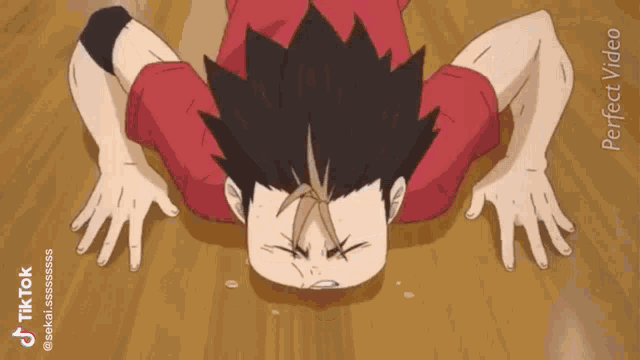 a person is doing push ups on a wooden floor .