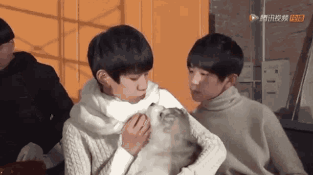 a boy is petting a cat while another boy watches .