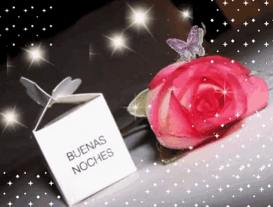 a pink rose sits next to a box that says " buenas noches "