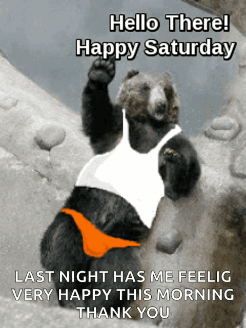 a bear wearing a white tank top and orange underwear says " hello there happy saturday "
