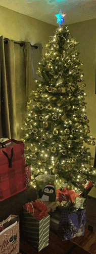 a christmas tree in a living room with gifts underneath it and a star on top