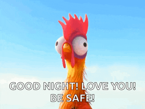 a picture of a chicken with the words " good night love you be safe "