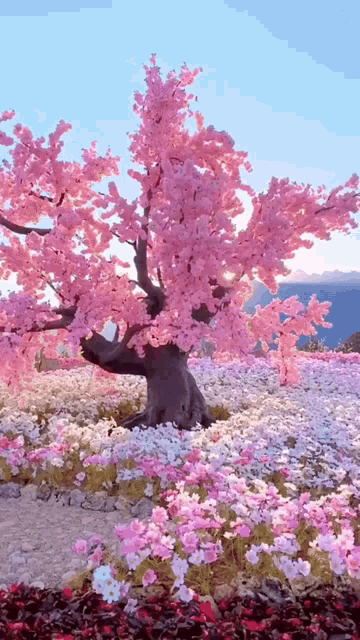 Nature Trees GIF - Nature Trees Flowers GIFs