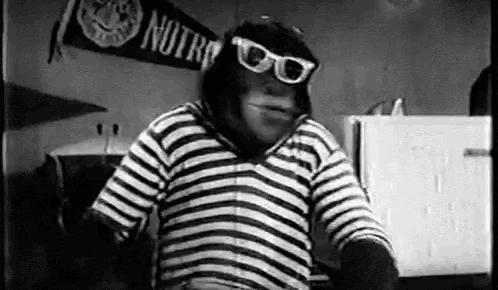 a chimpanzee wearing sunglasses and a striped shirt is standing in a room .