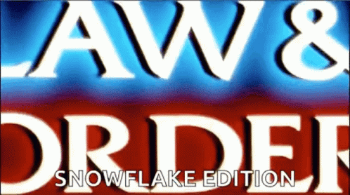 Law And Order Special Victims Unit GIF - Law And Order Special Victims Unit Snowflake Edition GIFs