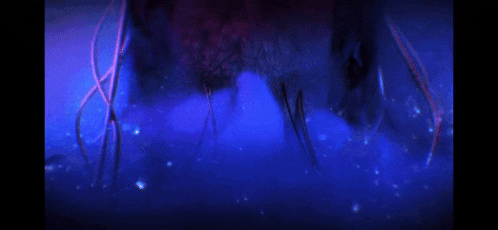 a purple dragon is surrounded by blue smoke and glowing lights