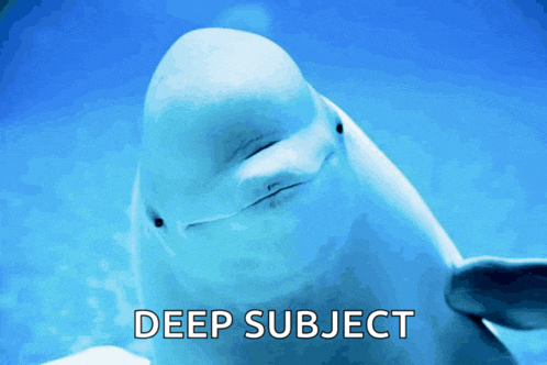 a dolphin with its eyes closed and the words deep subject below it