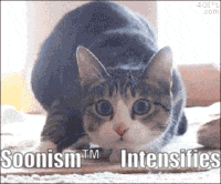 a cat laying down with the words soonism tm intensifies written on the bottom