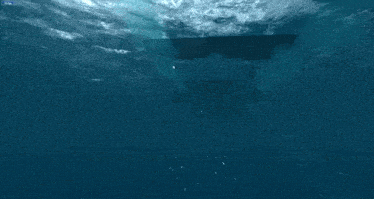 a computer screen shows a boat in the ocean with a few fish swimming around