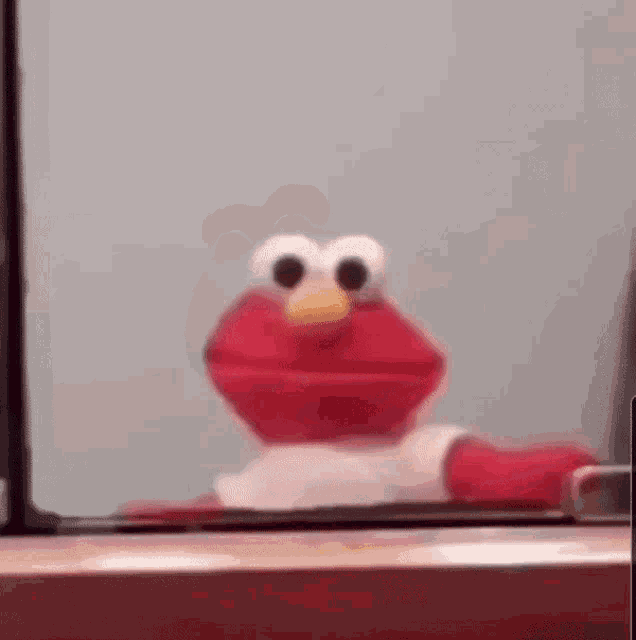 Elmo Scream GIF - Elmo Scream Why GIFs