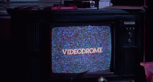 Videodrome Tv GIF - Videodrome Tv Static GIFs