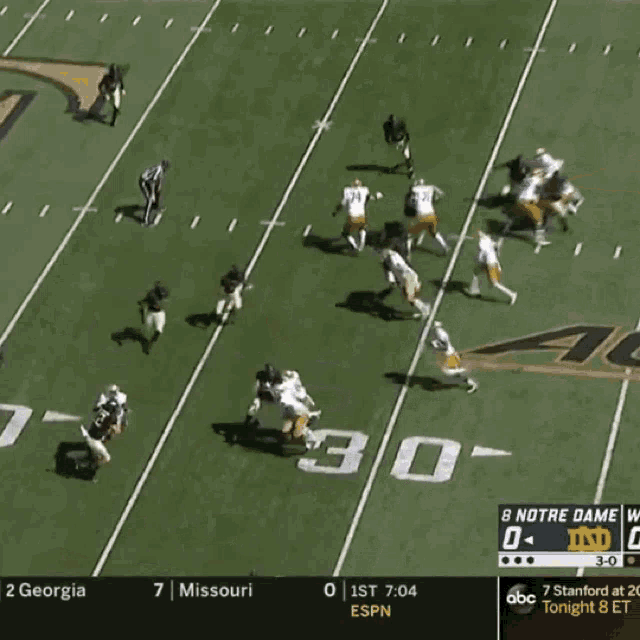 Wake Football Wake Forest GIF