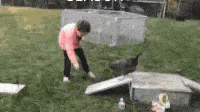 a girl in a pink jacket is standing in the grass next to a chicken coop .