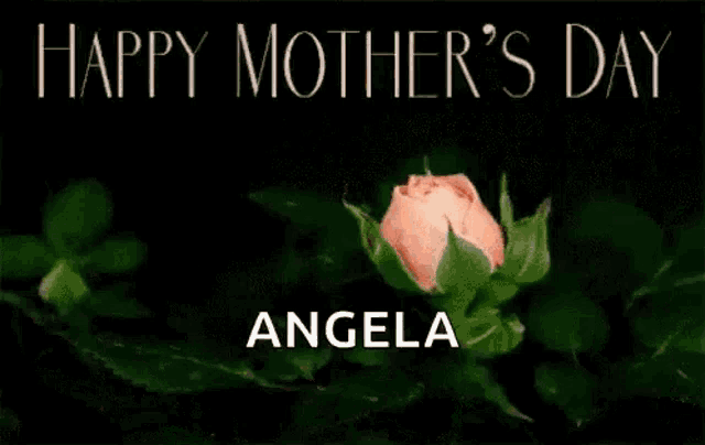 a happy mother 's day greeting card with a pink rose
