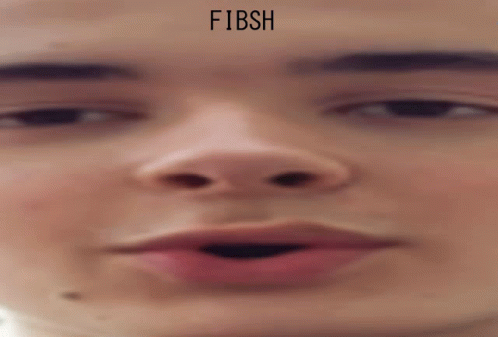 Fibsh Fish GIF - Fibsh Fish Wiktor GIFs