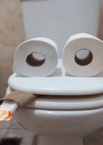 Smoking Toilet GIF - Smoking Toilet Paper GIFs