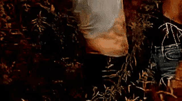 a man without a shirt is standing in the grass with his shirt off .