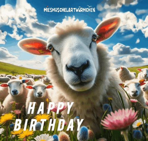 a happy birthday card with a flock of sheep in a field