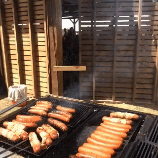 Barbecue GIF - Barbecue GIFs