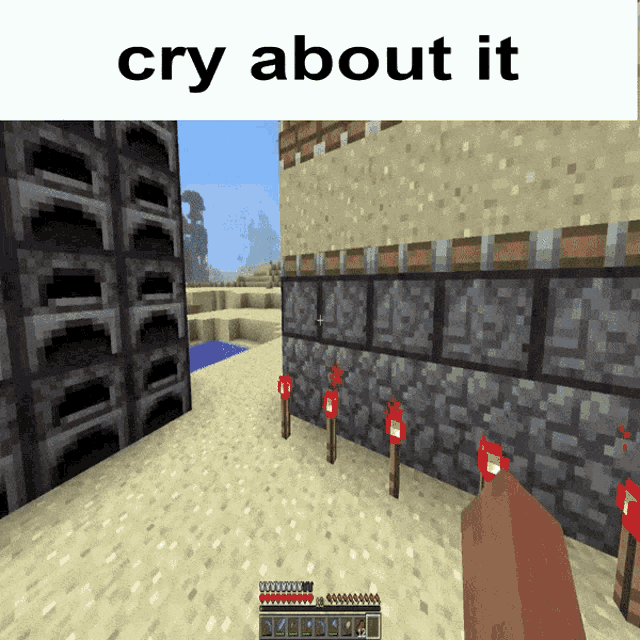 Cry About It Minecraft GIF - Cry About It Minecraft Dupe GIFs
