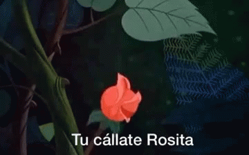 Callate Rosita GIF - Callate Rosita Callaterosita GIFs