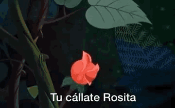 a red rose is surrounded by green leaves with the words tu callate rosita below it