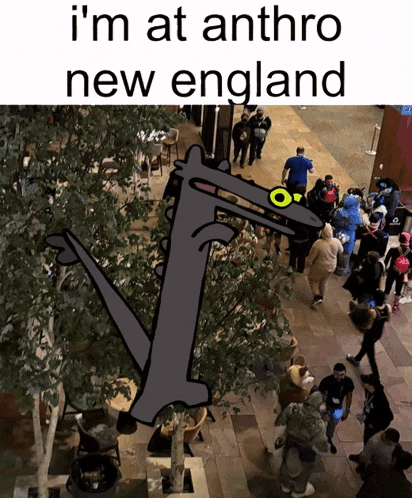 a cartoon drawing of a wolf with the words i 'm at anthro new england above it