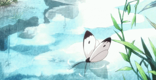 Anime Butterfly GIF - Anime Butterfly Fly GIFs