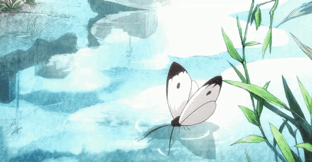 a butterfly is sitting on a leaf in a pond