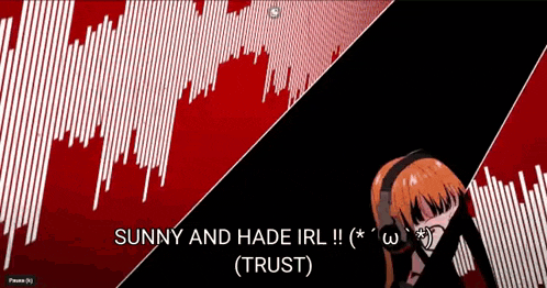 sunny and hade irl !! ( trust ) is written on a screen