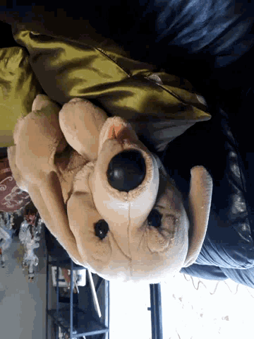 Dog Stuffed Toy GIF - Dog Stuffed Toy Upside Down GIFs