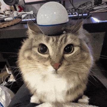 a cat sitting in front of a computer with a speaker on its head