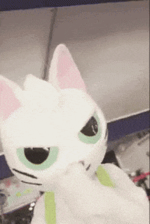 a white cat with green eyes and a pink ear